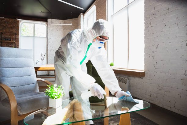 Mold Odor Removal Services in Granger, TX